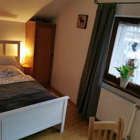 Homestay Zum Schneider Finkenberg